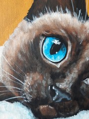 Siamese Cat Oil Painting Blue Eyes Art Original Pet Portrait Cat Lover Gif 7×9