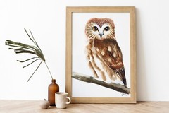 Owl Painting Bird Original Watercolor Nursery Wall Art Woodland Artwork