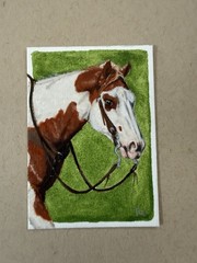 ACEO Art Card Original Sorrel Paint Cow Pony Portrait Series Oil Painting Horse