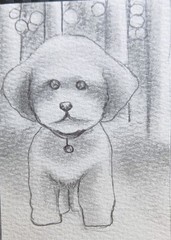 Aceo Pencil Sketch Art Card