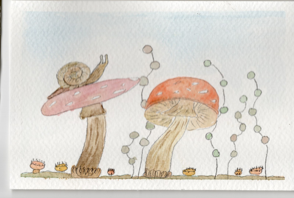 ACEO Limited Edition Art Print Nature Numbered Prints Watercolor Ink 1 of 12