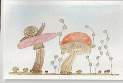 ACEO Limited Edition Art Print Nature Numbered Prints Watercolor Ink 1 of 12