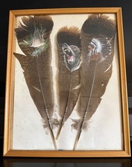3- Turkey feathers painted and signed Indian tee pee, black bear & Indian 2002
