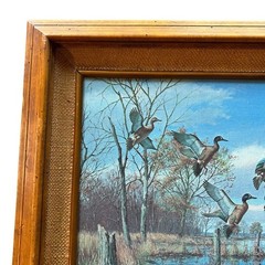 David Maass #513 Limited Edition Canvas Painting „Alarmed“ Wildlife Art 22″ X 18