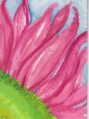 Original Pink Daisy ACEO Watercolor Painting Floral Art Miniature Sharon Foster