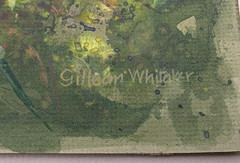 Fine Bird Watercolor Painting 9 1/2″ x 11 1/2″ Gillien Whitaker Bullfinch