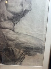 Baltimore School Original Charcoal Anatomical Torso Figure Study Framed Signed