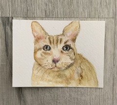 Aceo By Kenna Painting Original HP Ginger Cat Portrait 2.5” X 3.5 Signed