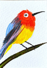 ACEO/ATC Original Acrylic Bird Mini Painting „Haw’n Honeycreeper“ Signed 3.5×2.5