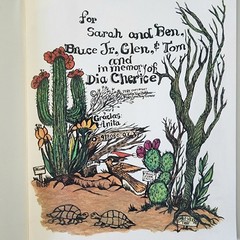 Mary Lou Ray Greer Original Watercolor Painting Southwest Desert Canyon Framed