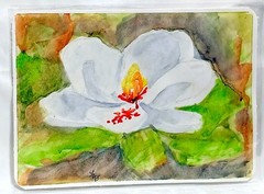 Miniature Fine Art Study – Watercolor on Paper – Signed Original
