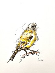 Original Abstract 9×12 Goldfinch Ink Drawing Handmade Bedroom Signed Fine Art 20