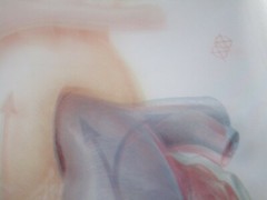 TED BLOODHART PAINTING POP ART HUMAN SCIENCE MEDICAL SURGICAL REALISM HEART 1970