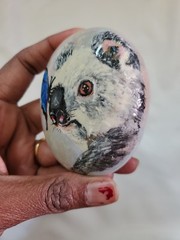 hand painted Koala Blue Butterfly collectible gifting ideas pebble stone
