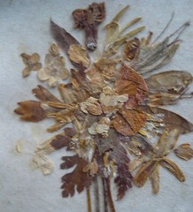 FOLK ART VINTAGE FLORAL BOTANICAL DRY PRESSED FLOWERS, MYSTERY SIGNED VINTAGE