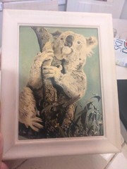 Vintage Artist Signed Oil Painting Koala Bear On Tree Framed 9.5×7.5″