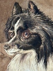 Antique 19th C. painting Pomeranians dog group artist signed P.H. Staines 1865