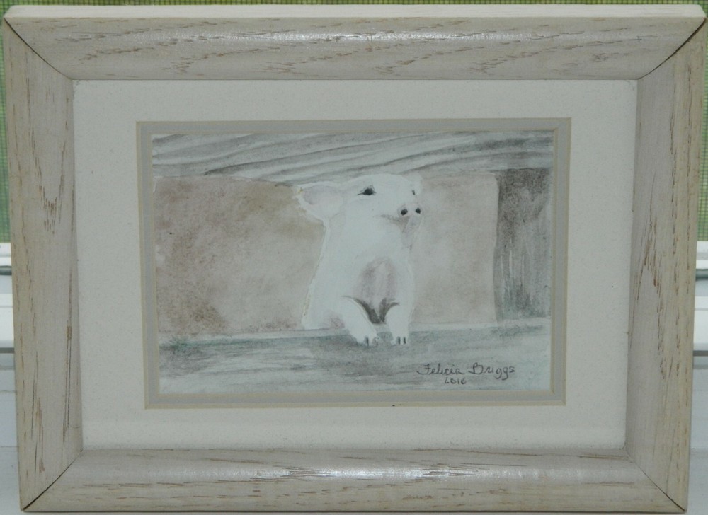 Felicia Briggs Watercolor Painting. Pig Wilbur? 6 1/4″ x 8 1/4″ Framed