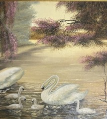 20th Century Swan Painting Stunning Signed