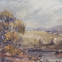 Vtg Zdeny Stodulka Signed Oil Painting Australian Impressionist Landscape Frame
