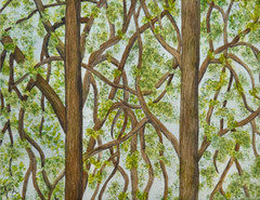 PAINTING WATERCOLOR 11X14 AND WHITE MAT 16X20 FOREST TREES GREEN BROWN SPRING