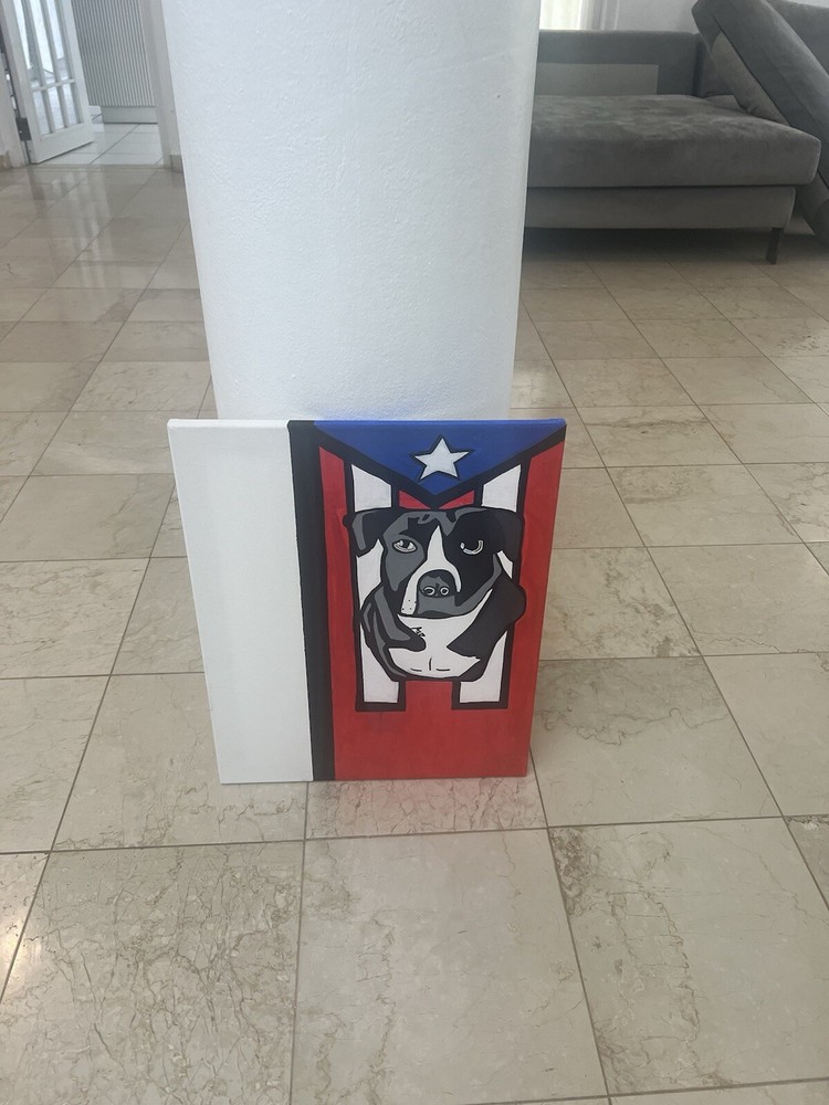 SATO dog breed acrylic over canvas 20×16