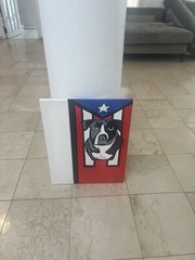 SATO dog breed acrylic over canvas 20×16