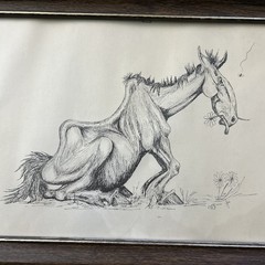 Signed Jeri Funny Old Horse Print
