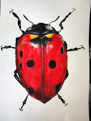 18×24 watercolor painting on paper art by Tim ozman, Signed Original