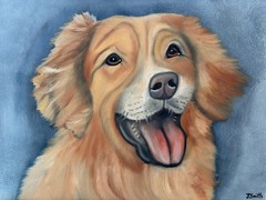 Original oil painting 11 x 14 inches happy golden retriever dog