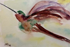 Original Watercolor Hummingbird 4”x6” Signed Collectible Brand New-Not A Print!
