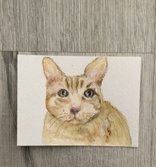 Aceo By Kenna Painting Original HP Ginger Cat Portrait 2.5” X 3.5 Signed