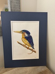 Original Bird Painting Drawing Wall Art Blue Yellow Birds Kingfisher