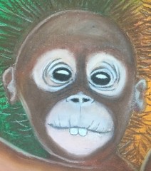 Baby orangutan Oil Pastel Painting