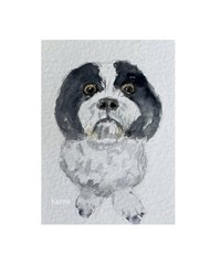 Aceo By Kenna Painting HP Maltese Dog Portrait 2.5” X 3.5 Signed Original