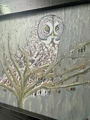 Framed Great Grey Owl Oil Painting James Springett w Authenticity HUNTING VOLS