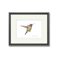 Anna’s Hummingbird Giclee Print of Hand-Painted Watercolor, Unframed
