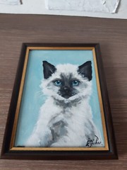 Siamese Cat Painting Pet Original Art Framed 7 x5 Cat Blue Eyes Oil Painting