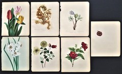 1850s antique victorian 6pc Orig HAND PAINTED FLORAL ART and PRESSED MOSS McNAIR