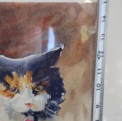 Deb Zeller Signed Water Color Painting Sitting Calico Cat Kitty 11 X 15 Midwest