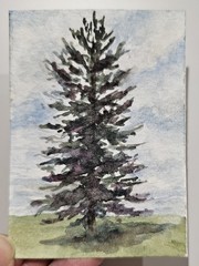ACEO Original Pine Tree Watercolor Painting by artist Theresa Twohig