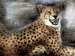 VINTAGE OIL PAINTING OF CHEETAH FROM 1960TH WITHOUT STRETCHER & FRAME.