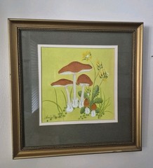 Vintage Mushrooms Watercolor Painting Signed Amie Hecht Cottage Fairy Whimsical