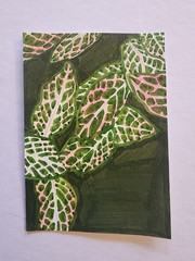 ACEO Original Abstract Acrylic Painting of a Leafy Fittonia House Plant by Kiva