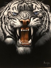 White tiger wild Feline animal black velvet oil painting handpainted signed art
