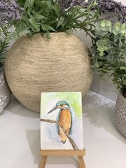 Aceo By Kenna Watercolour Painting Kingfisher Bird By Kenna 2.5” X 3.5” ÀTC