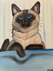 Original oil painting 11 x 14 inch Siamese cat signed canvas