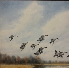 Original JOSEPH DAY KNAP ‚Pintails DUCKS Landing in MARSH‘ Watercolor PAINTING