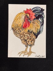 Origional Watercolor Chicken / rooster ACEO Size signed by artist Edith Schmidt