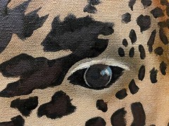 18 x 24 Original Oil Painting on Canvas….“Giraffe on the Savannah“